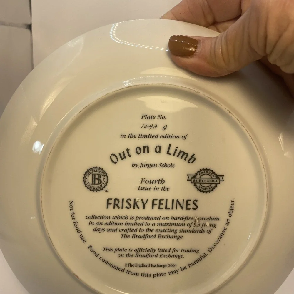 N/A frisky felines